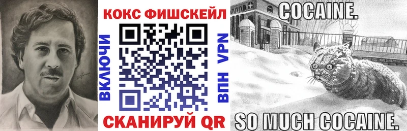 Cocaine Fish Scale  гидра   Новоульяновск 
