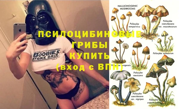 spice Алексеевка