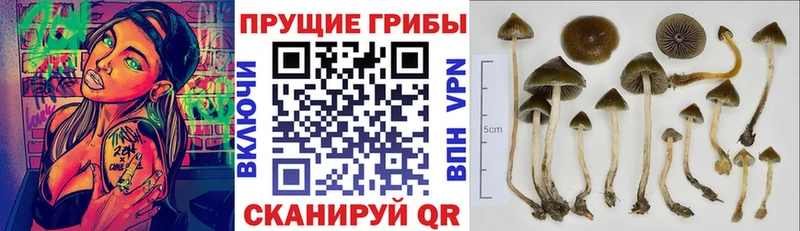 mega зеркало  Новоульяновск  Псилоцибиновые грибы MAGIC MUSHROOMS 